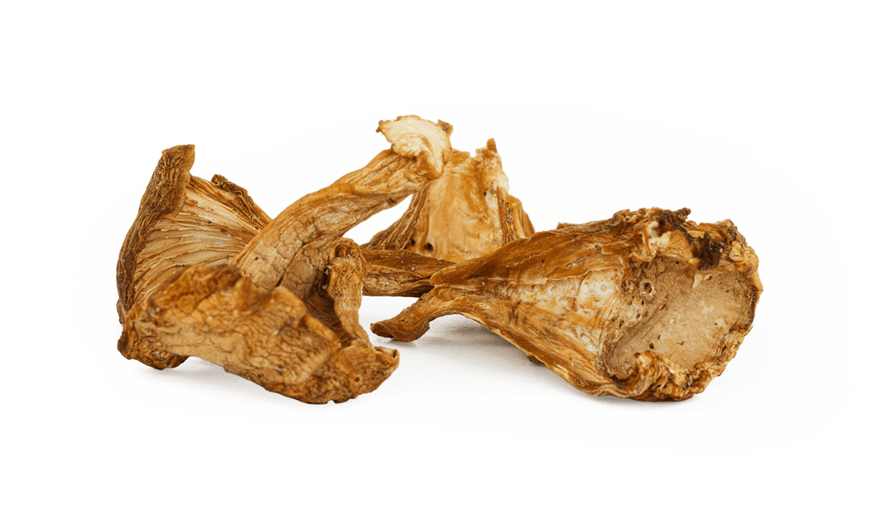 Dried Chanterele loose