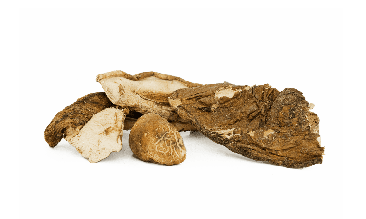 Dried Porcini loose